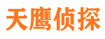 新都市私家侦探